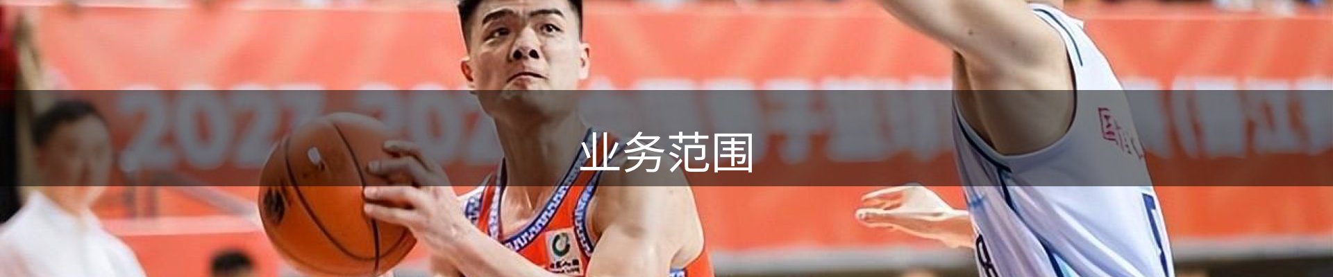 业务范围